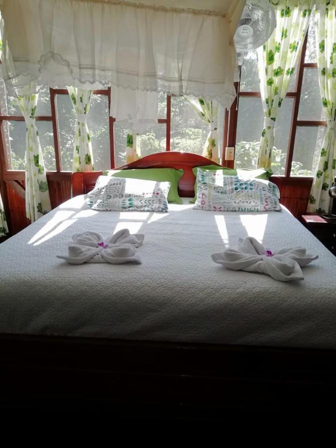 Derna Yarina Eco Lodge מראה חיצוני תמונה