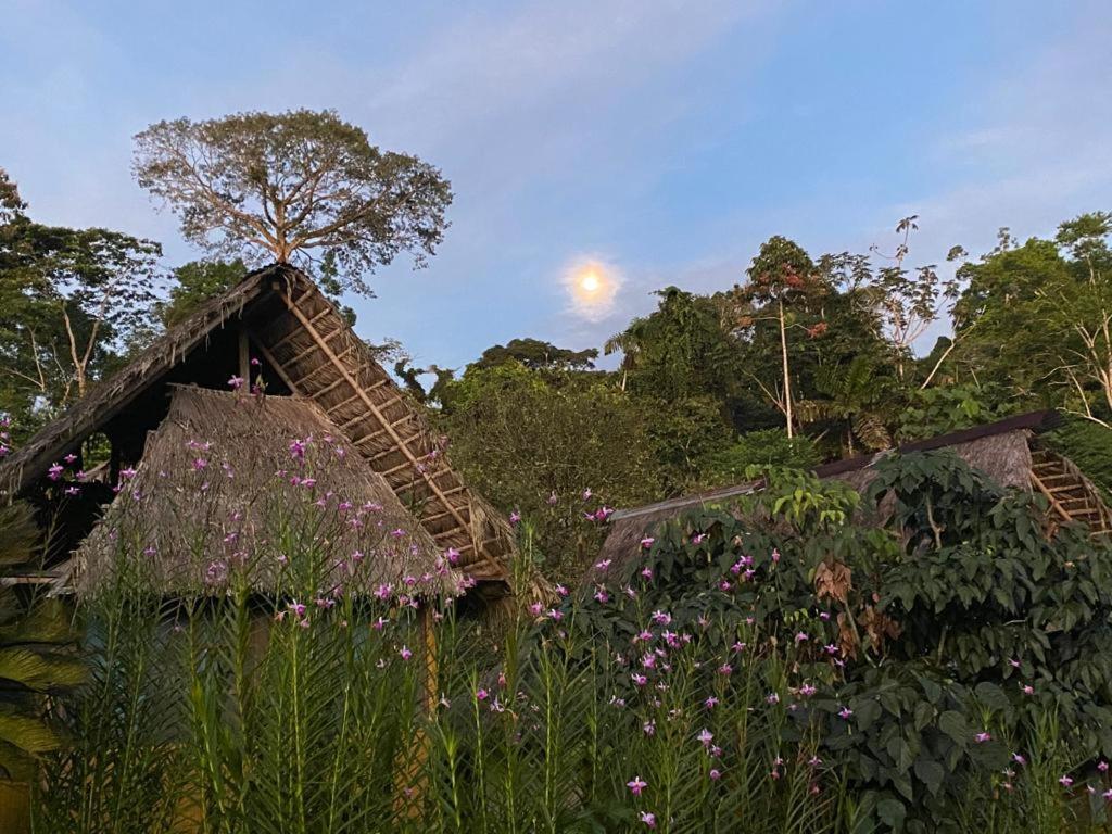 Derna Yarina Eco Lodge מראה חיצוני תמונה